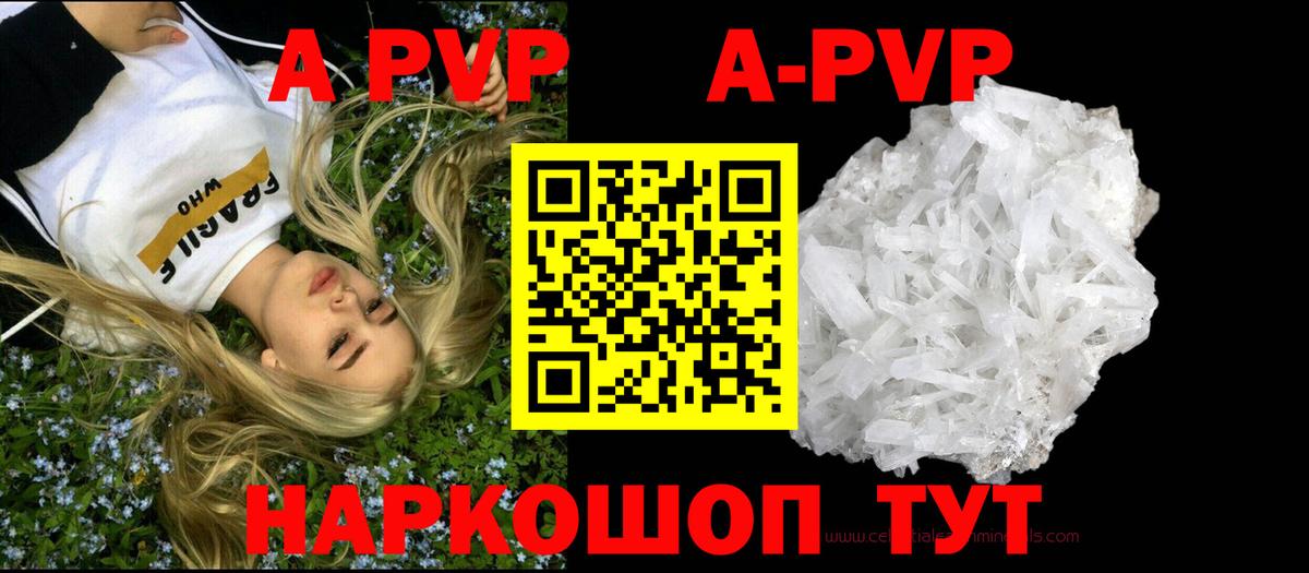 Alfa_PVP СК Каменск-Шахтинский