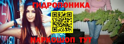 Альфа ПВП Лесосибирск