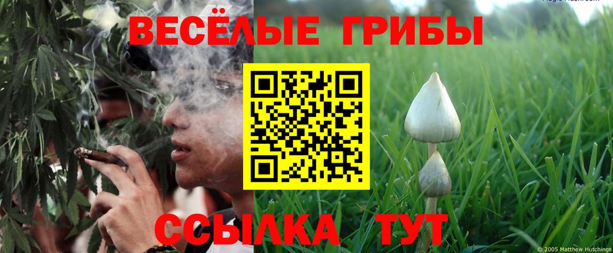 Галлюциногенные грибы мухоморы  Вход с VPN  Каменск-Шахтинский 